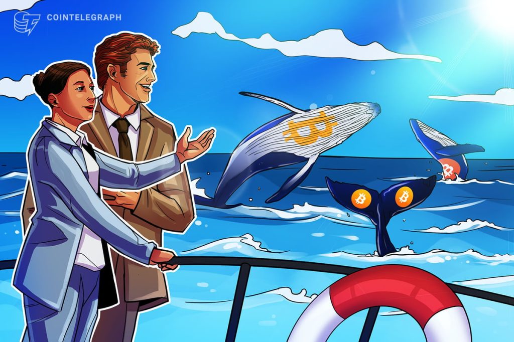 Whales Trade Bitcoin Keys for Comfort Whales Trade Bitcoin Keys for Comfort
